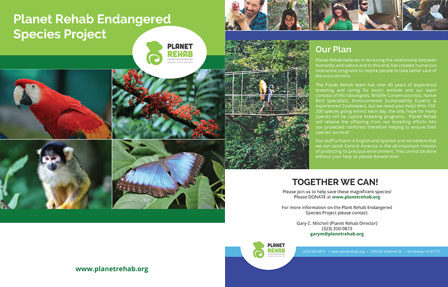 Planet Rehab Endandered Species Project Brochure